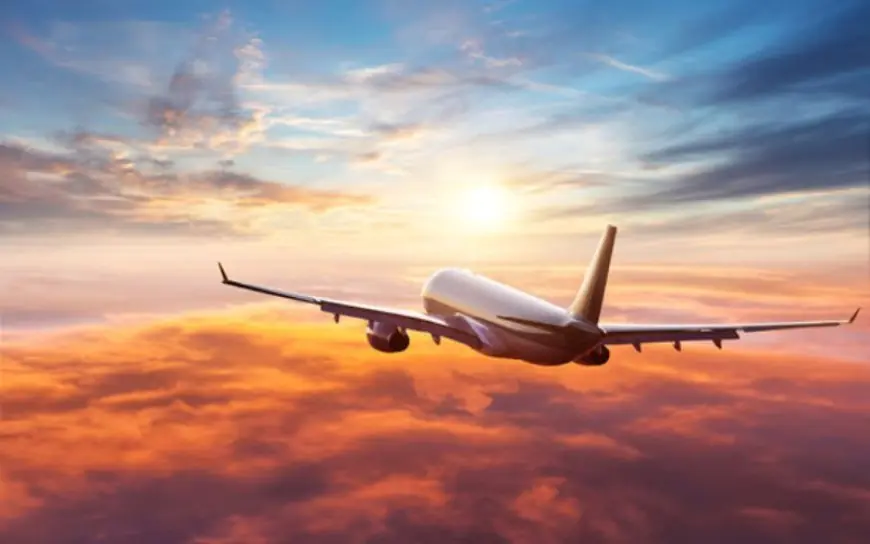 Travel Smart with a Delta Buddy Pass – Everything You Need to Know