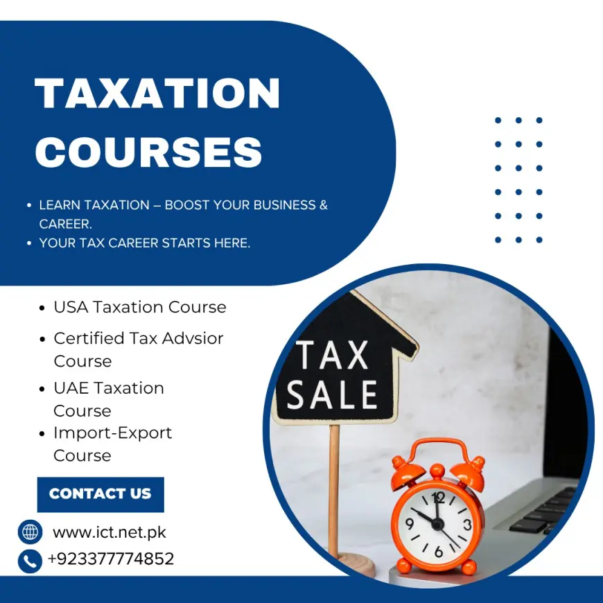 Future-Proof Your Career with These Expert-Approved Taxation Courses
