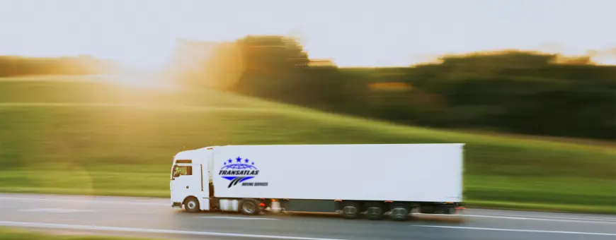 Looking for Movers in Ontario?