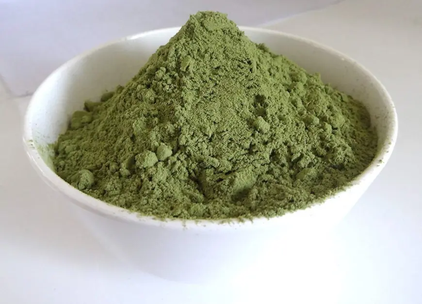 Mint Powder Manufacturing Plant Project Report 2025: Machinery, Raw Materials, and Investment Opportunities