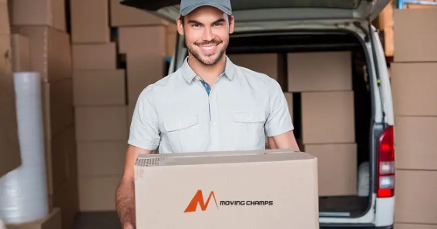 How to Safely Pack Fragile Items for Your Man With A Van Sydney Move