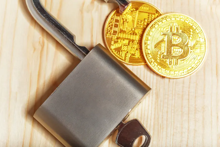 Why Choosing the Best Cold Wallet Is the Smartest Move for Crypto Holders