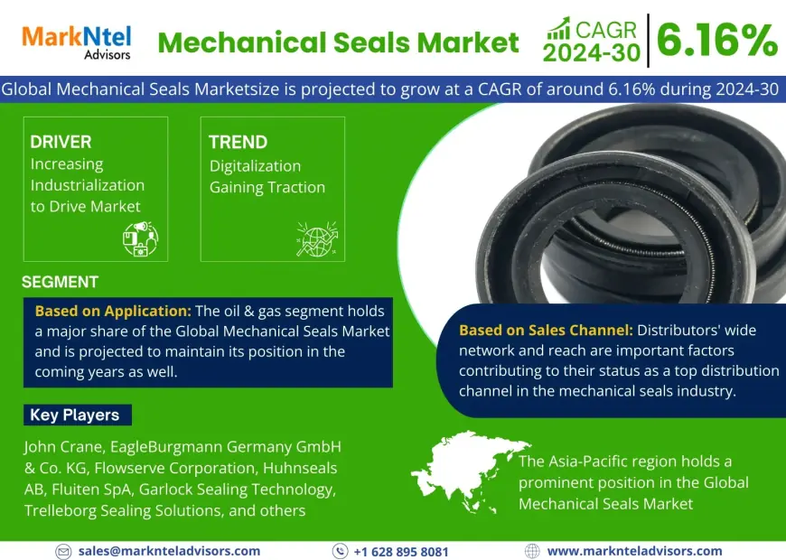 Mechanical Seals Market Research 2024–2030: Growth, Size & Opportunities