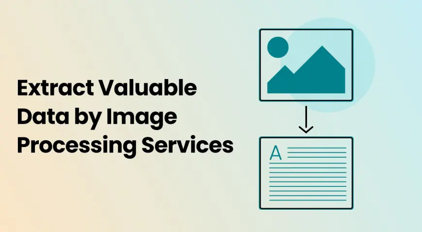 Extract Valuable Data by Image Processing Services