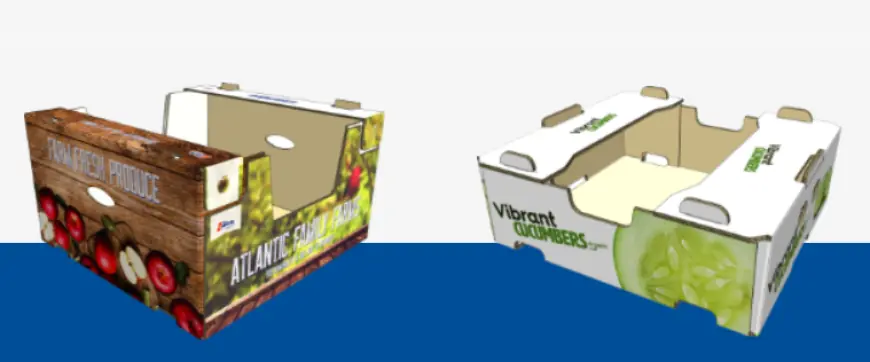 Digital Printing Packaging: Revolutionizing the Packaging Industry