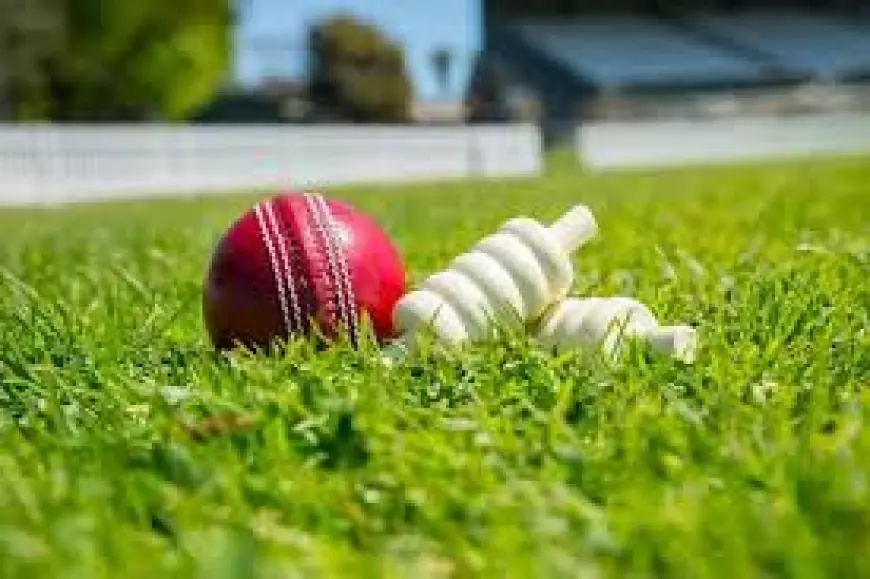 Step Into the Game: How a Cricket ID Enhances Your Online Experience