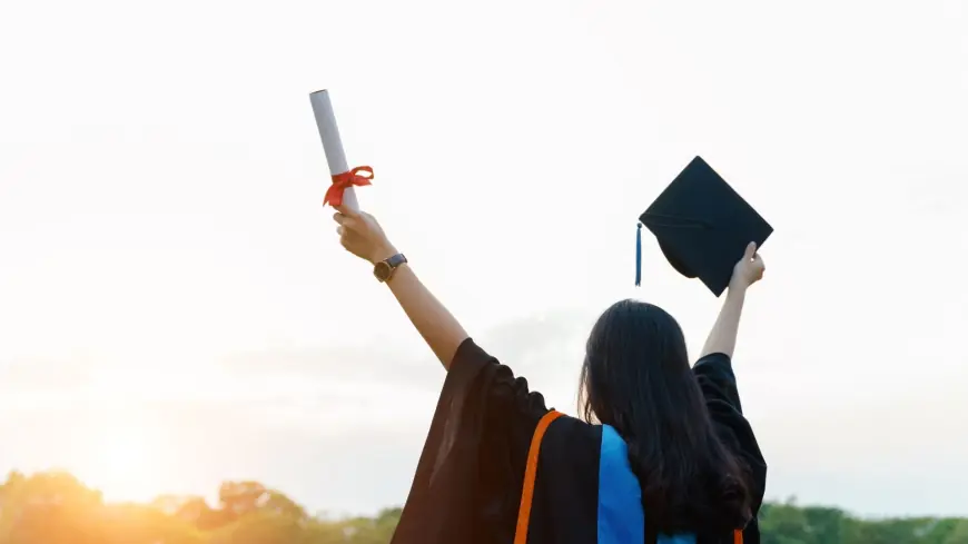 NIU Greater Noida: A Hub of Innovation and Learning
