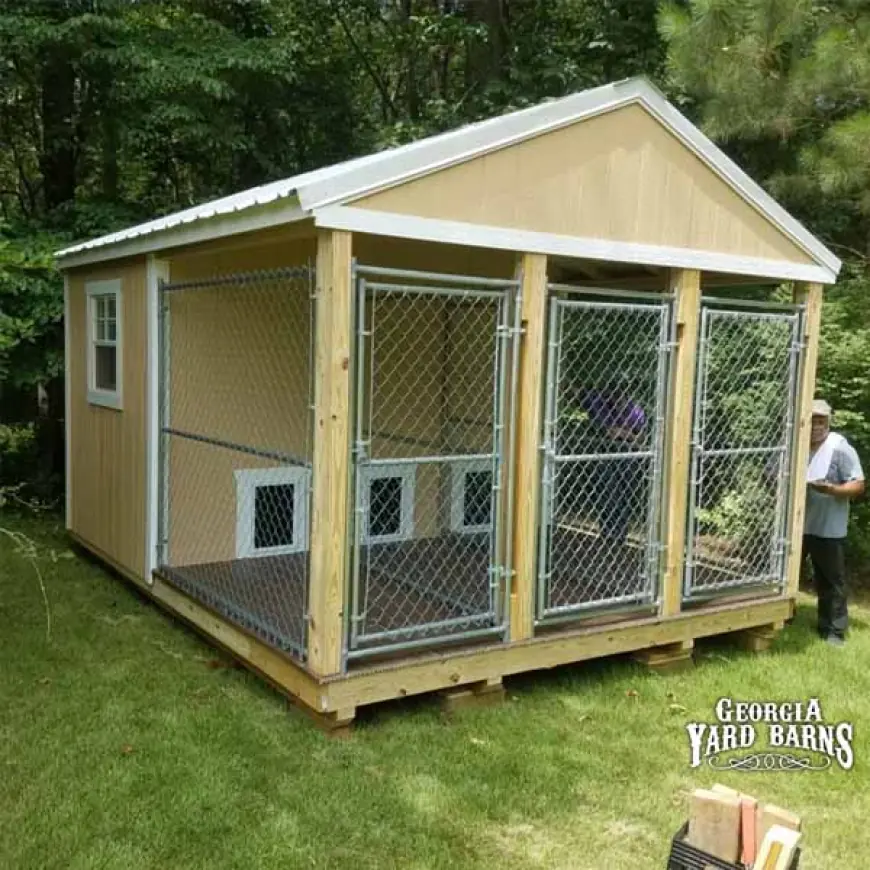 Dog Kennels for Sale in Georgia Comfort Security and Customization