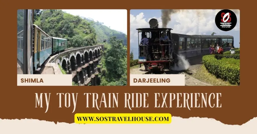 Looking to Discover Darjeeling? Top Trips Under 10000 INR