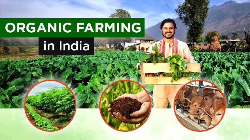 What are The Organic Farming Types and Methods of Farming