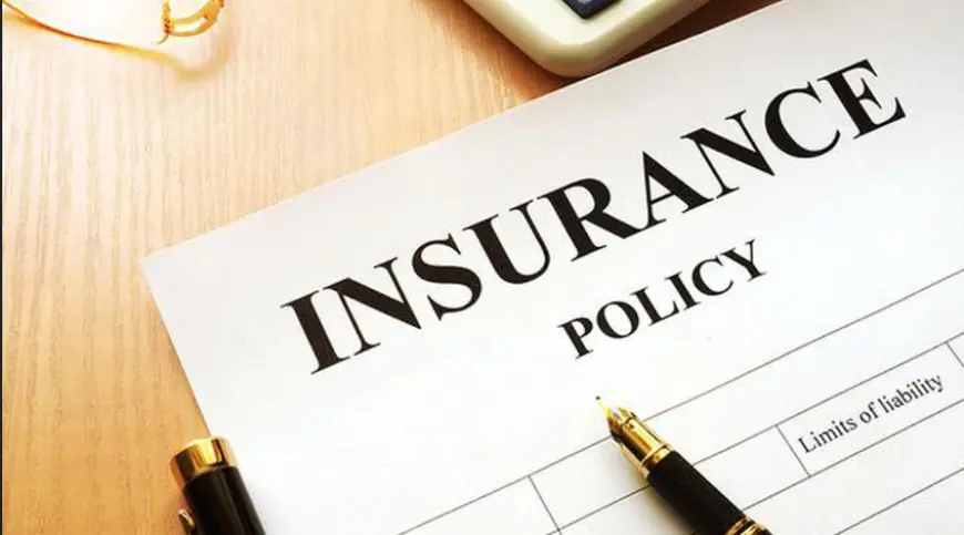 What’s the Best Insurance in the USA? A 2024 Comparison Guide