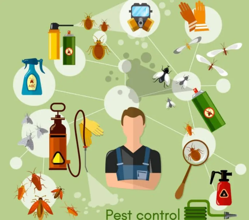 Top Benefits of Professional Fumigation Services for Homes and Businesses