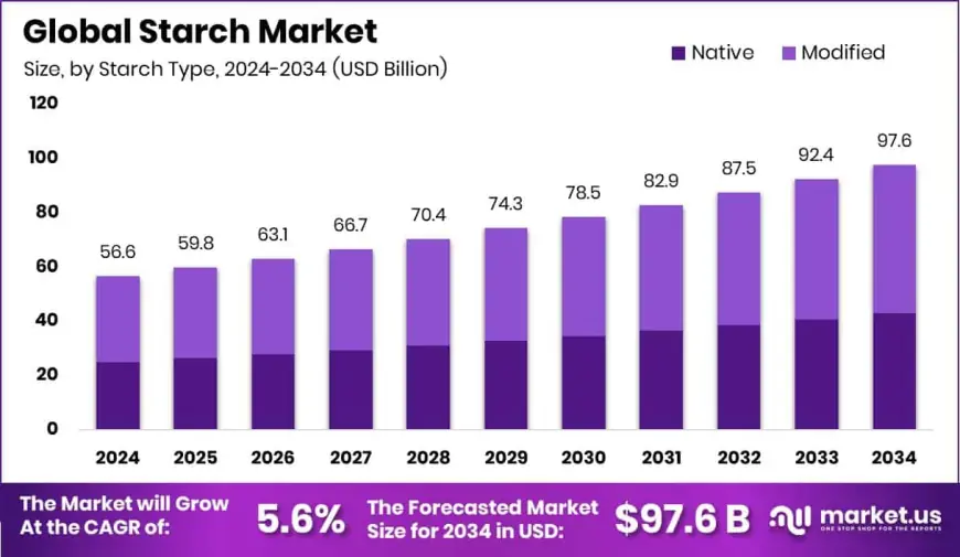 Starch Market Global Growth Opportunities and Challenges