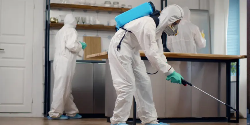 Why Professional Pest Control Services Are Essential for Safe & Healthy Spaces