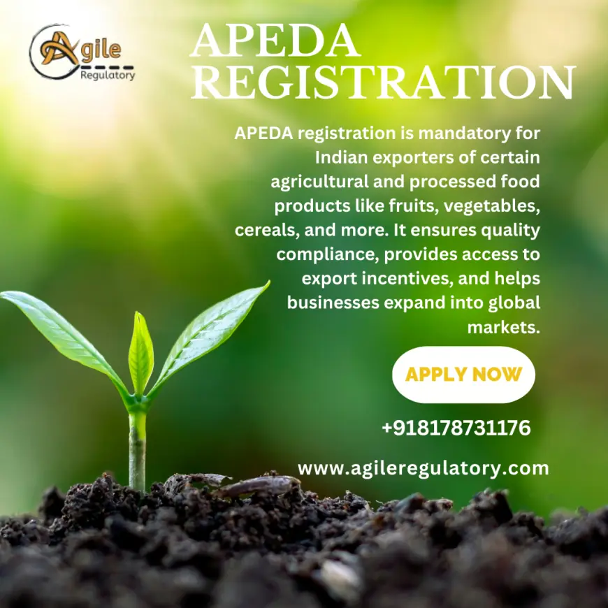 Top Reasons You Need APEDA Registration in India