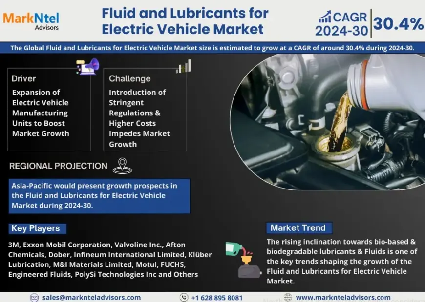 Fluid and Lubricants for Electric Vehicle Market Research 2024–2030: Growth, Size & Opportunities