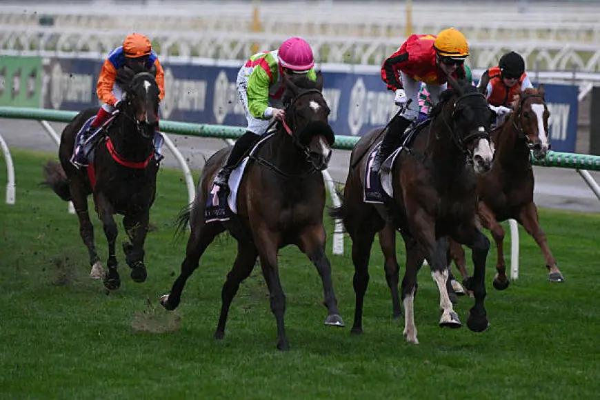 Race Smarter: How to Secure the Best Caulfield Racing Tips Result