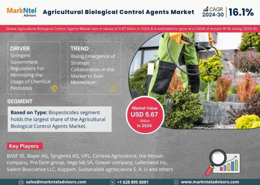 Agricultural Biological Control Agents Market Research 2024–2030: Growth, Size & Opportunities