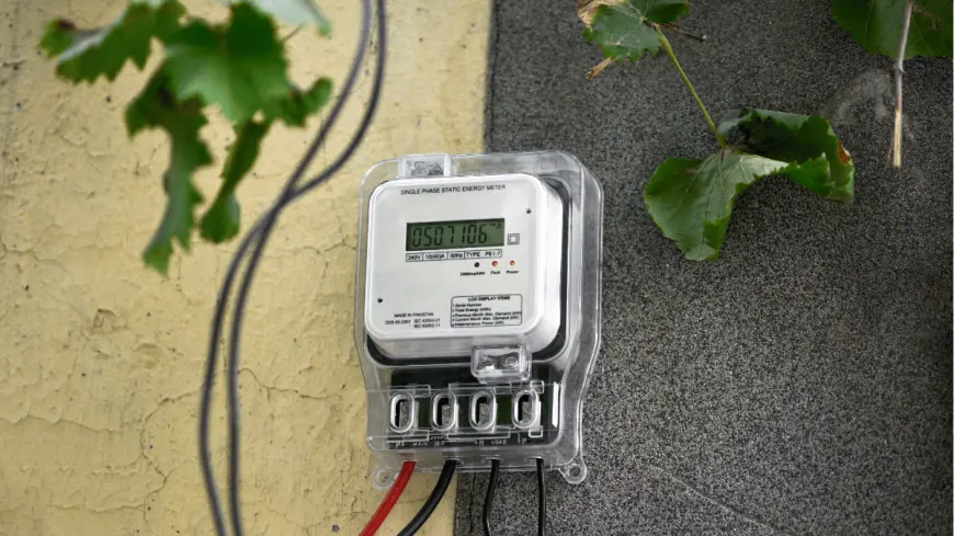 Understanding the Growth of the Global Smart Electric Meter Market