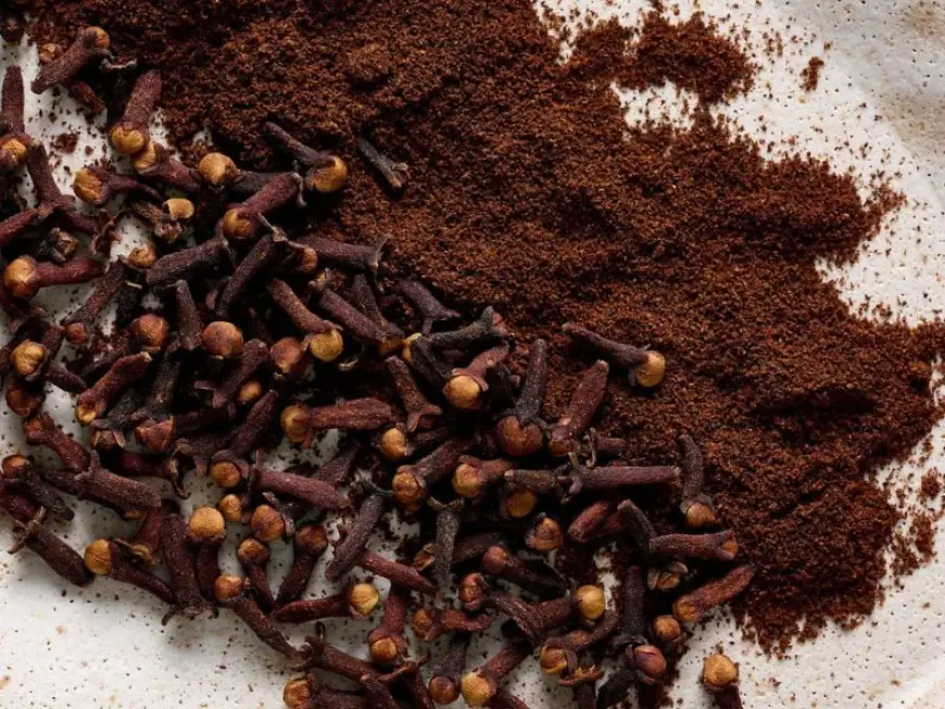 Sip into Wellness: Discover IrieVeda’s Soul-Soothing Chai Cocoa Blend