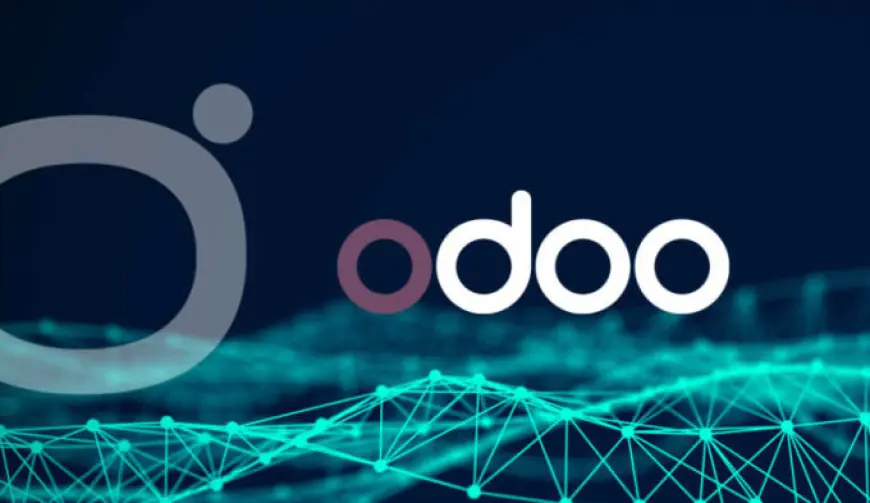 Odoo Accounting Training: Master the Tools for Financial Success
