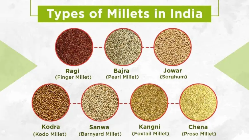 Discover Millet and Its Various Types, and Learn How to Cultivate It in India