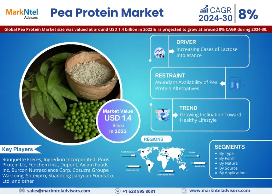 Pea Protein Market Research 2024–2030: Growth, Size & Opportunities