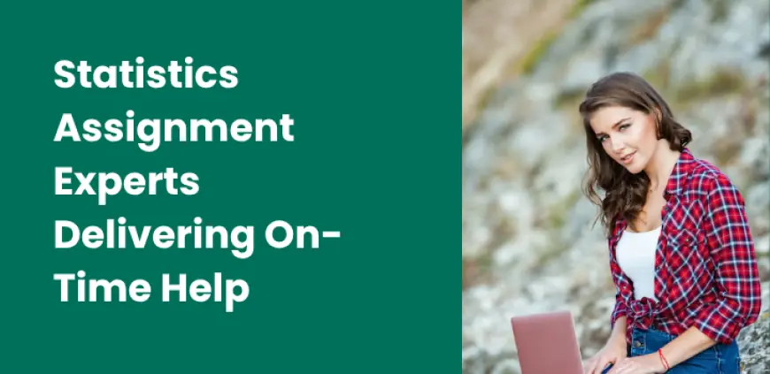 Statistics Assignment Experts Delivering On-Time Help