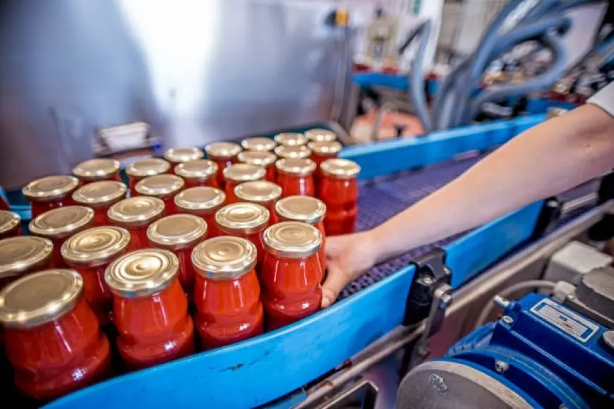 Canned Soup Manufacturing Business Plan 2025: Project Cost, Raw Materials Requirement and Profit Margin