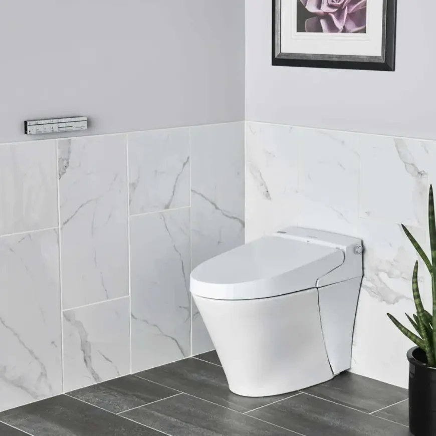 How a Smart Toilet Can Upgrade Your Daily Comfort?