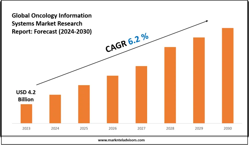 Oncology Information Systems Market Size, Competitive Landscape and Outlook 2030
