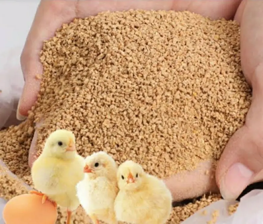 Poultry Feed Manufacturing Plant Setup: Project Report 2025, Machinery Cost, and Business Plan