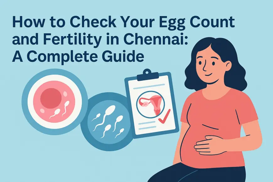 Fertility Check in Chennai: Your Step-by-Step Guide to Egg Count Testing