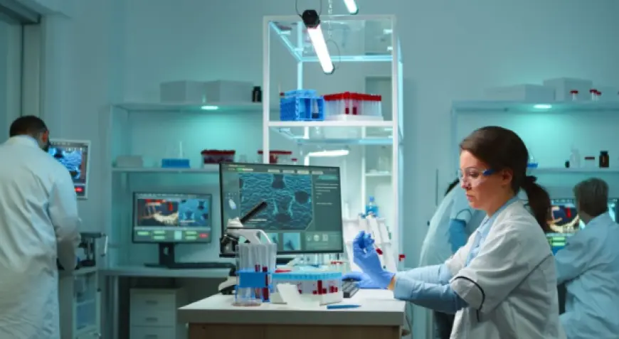 The Role Of Clinical Research Operations In Successful Trial Execution