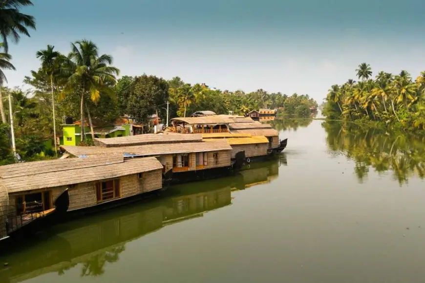 Munnar Tour Package – Explore Misty Mountains and Lush Valleys