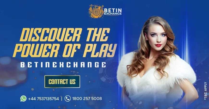 Explore Real-Time Sports Insights and Action with Betinexchange | Betinexchange360
