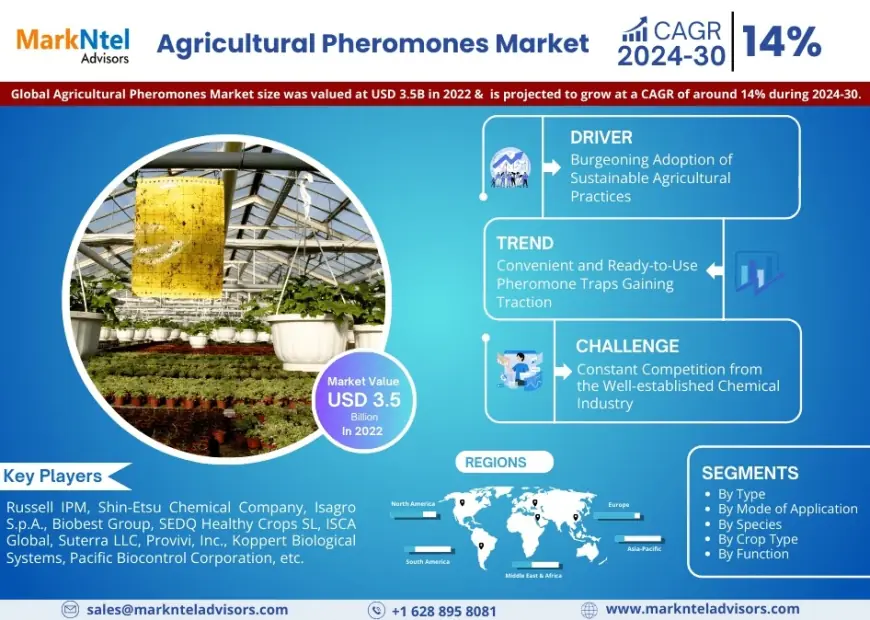 Agricultural Pheromones Market Research 2024–2030: Growth, Size & Opportunities
