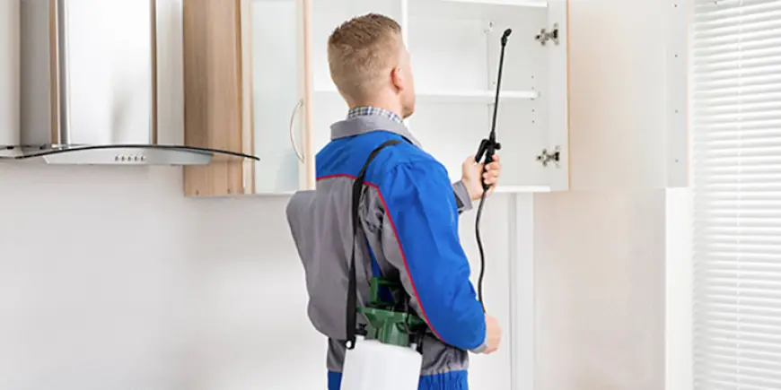 Pest Control Service in Cleveland