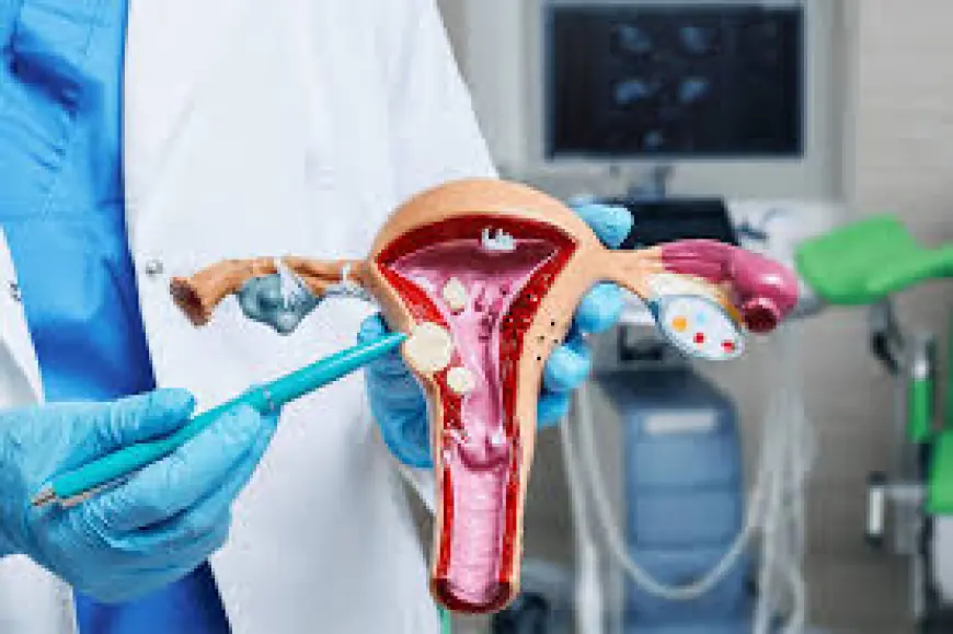 Finding the Best Gynecologist in Dubai: Expert Care for Women’s Health