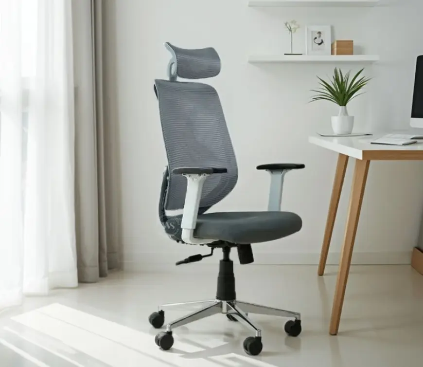 Office Chairs and the Modern Workspace: What Your Chair Says About Your Brand