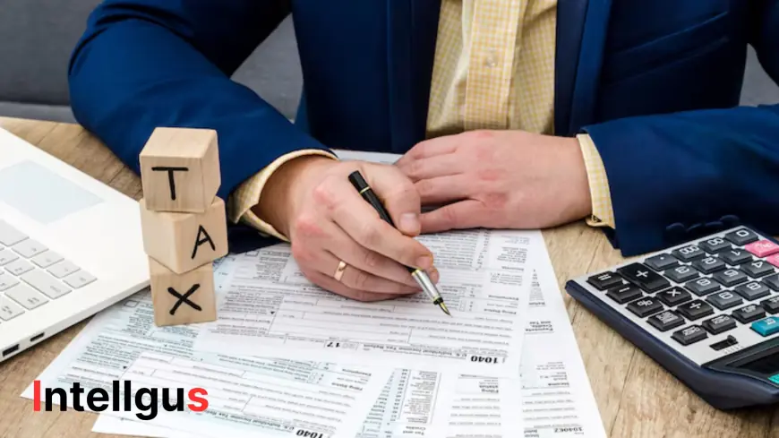 Outsource CFO Services: Game Changer for Growing Services Firms