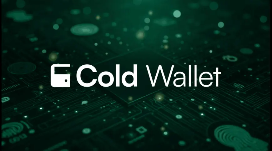 Cold Wallet for Cryptocurrency: A Must-Have in the Post-Hack Era