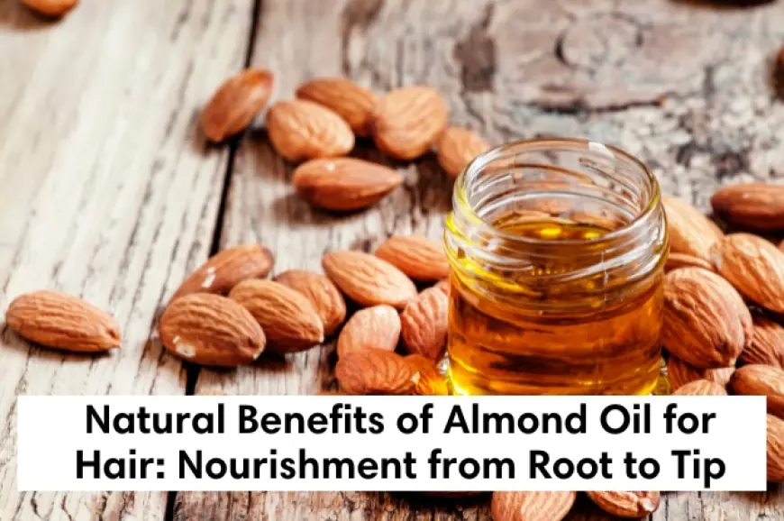 The Natural Benefits of Almond Oil for Hair: Nourishment from Root to Tip