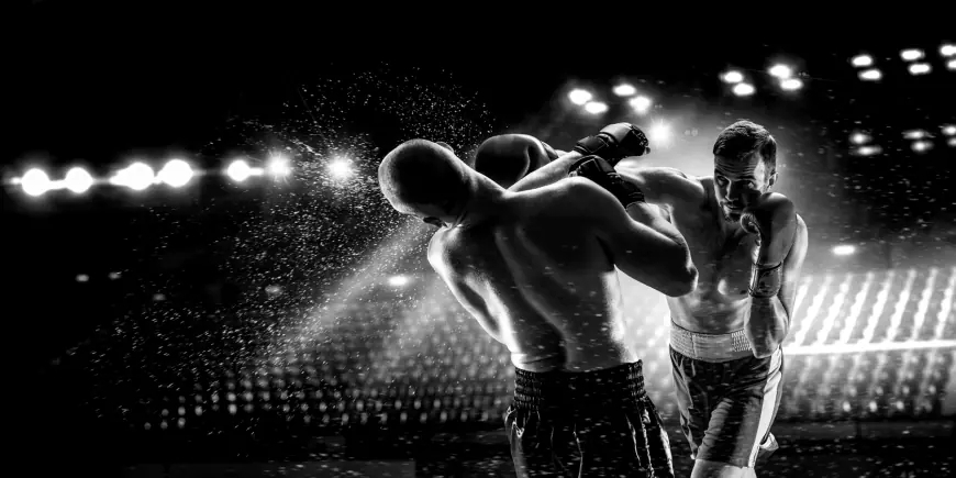 Boxing Live: Blood, Grit, and Glory