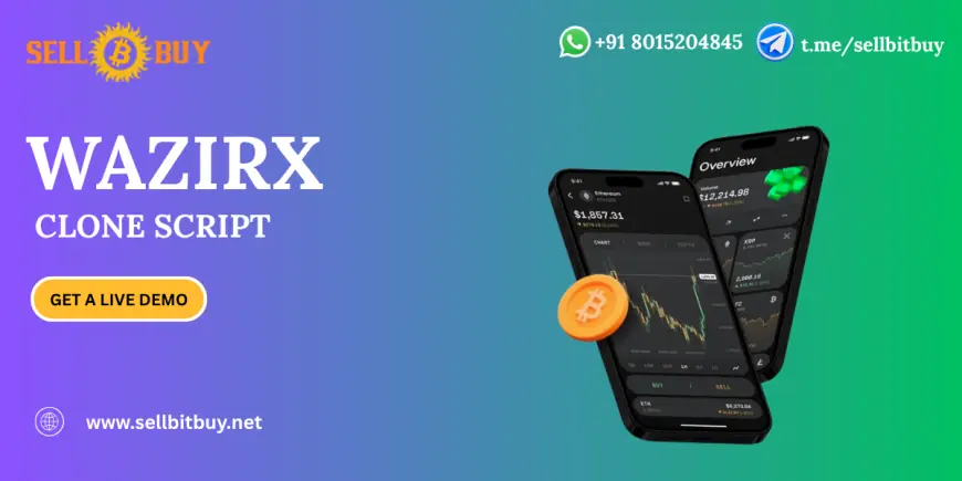 Everything You Need to Know About WazirX Clone Script Development
