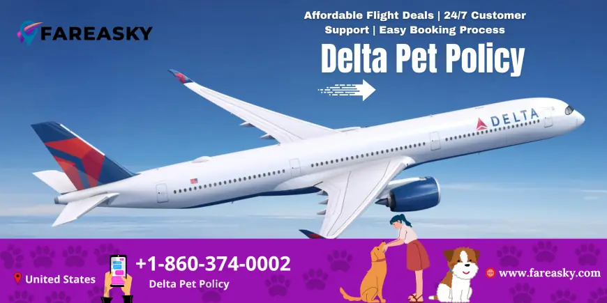 Delta Pet Policy Guide: Everything You Need to Know Before Flying with Pets