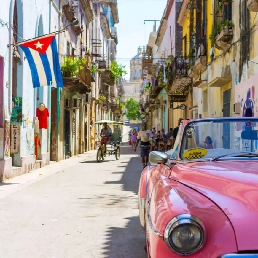 Journey into the Extraordinary with Vive Mas Tours: Your Next Great Escape