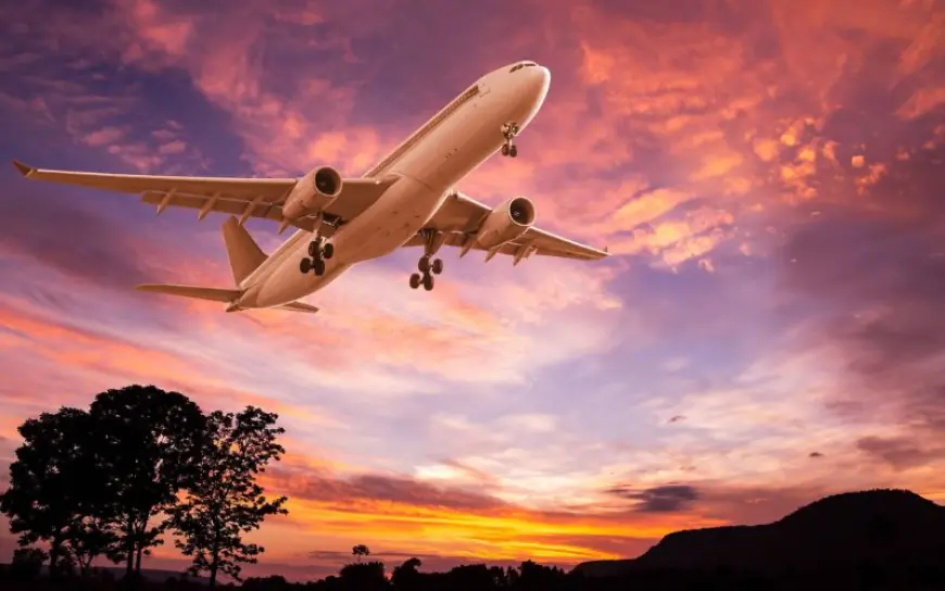 Qatar Airways Abu Dhabi Office – A Complete Travel Guide