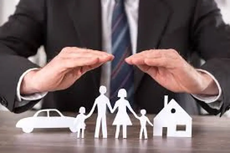 Ireland Life & Non-Life Insurance Market 2030 by Segment