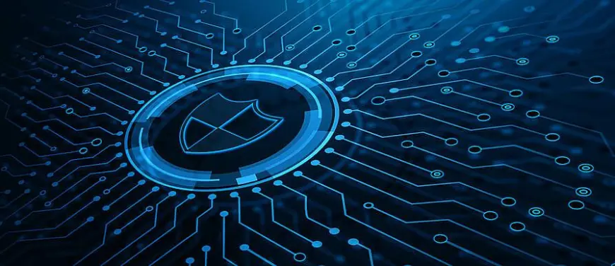 Future-Proof Your Career with a Cybersecurity Master's Degree